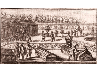 Les jardins de Jean-Baptiste de La Quintinie