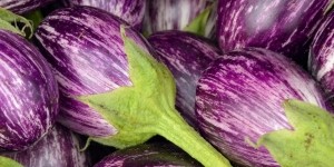 Magnifique aubergines